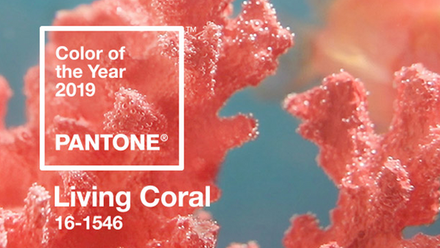 The Pantone Color Of The Year 2019 Is...