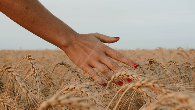 Fall's "New" Neutral Nail Colors