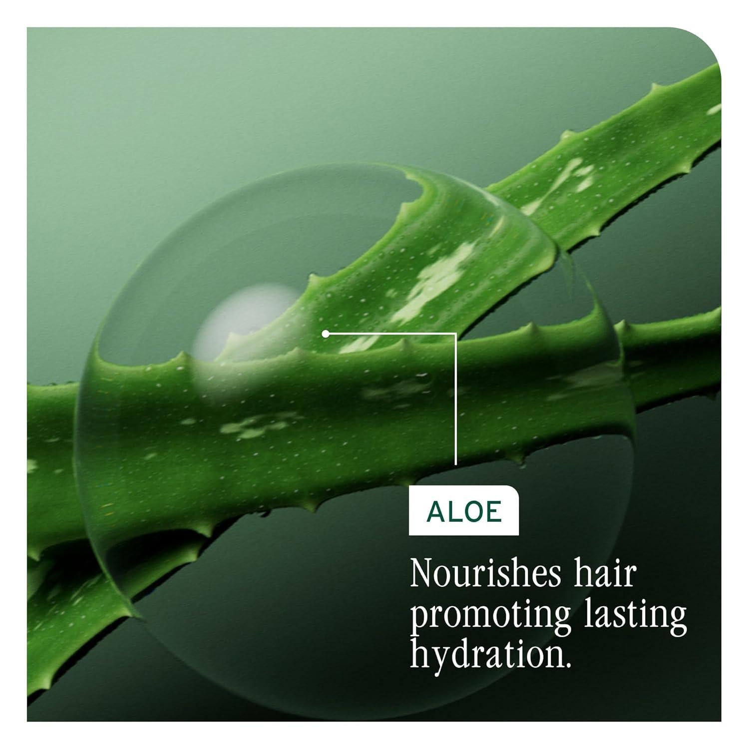 Biolage - Hydra Source Detangling Solution - 1 Liter / 33.8 oz - Hair at Beyond Polish