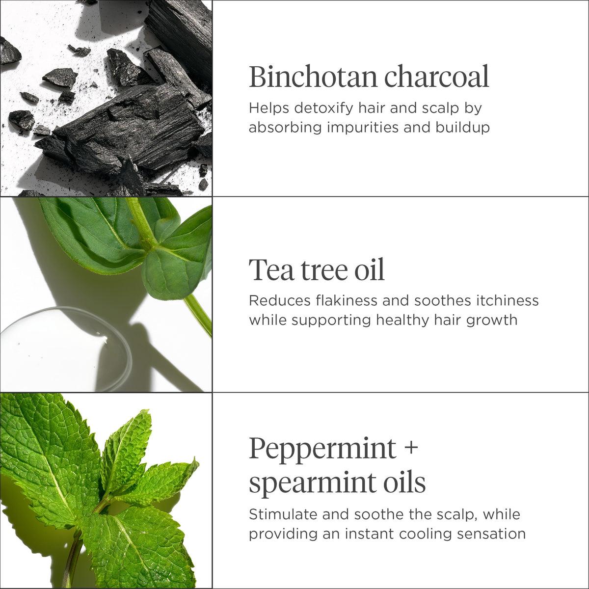 Briogeo - Scalp Revival Charcoal + Tea Tree Scalp Treatment 1 oz Drops - Hair at Beyond Polish