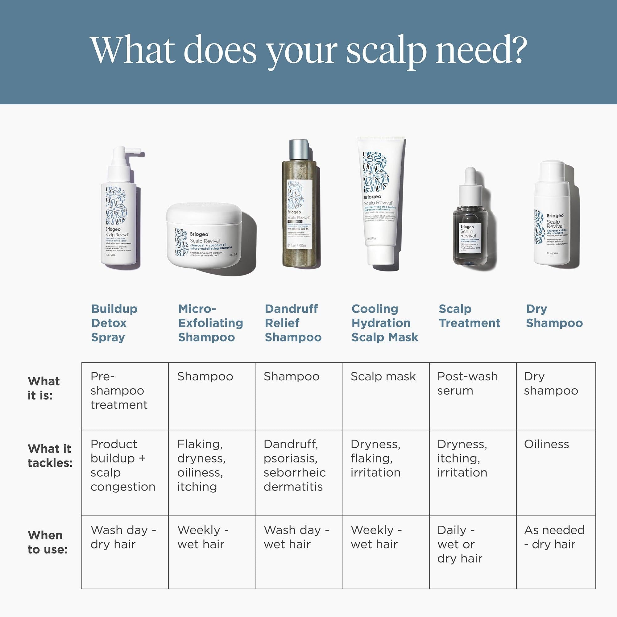 Briogeo - Scalp Revival Charcoal + Tea Tree Scalp Treatment 1 oz Drops - Hair at Beyond Polish