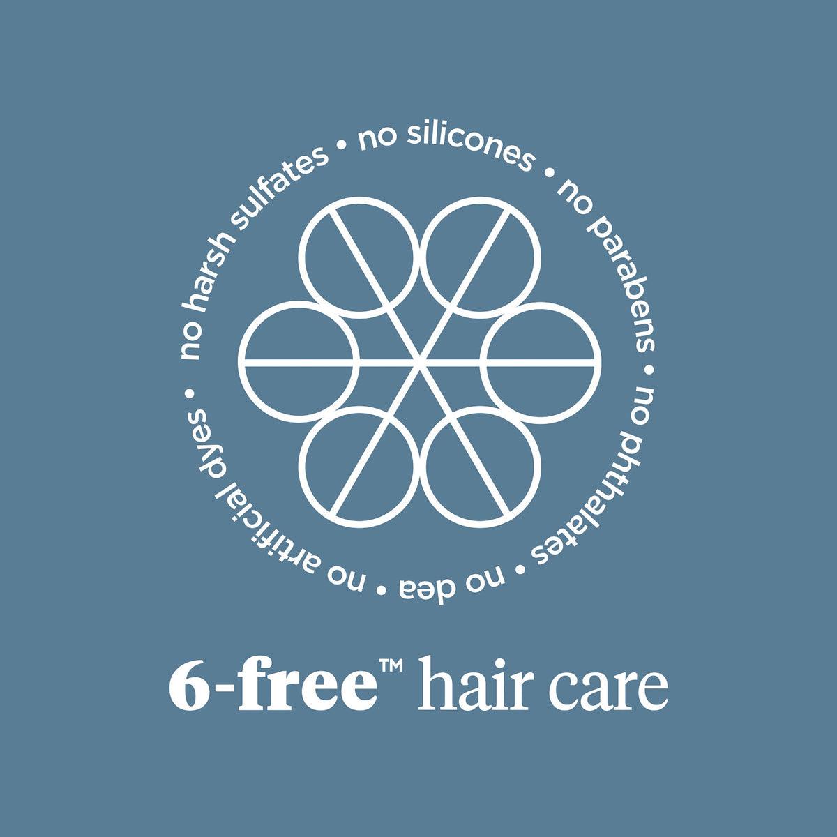 Briogeo - Scalp Revival Charcoal + Tea Tree Scalp Treatment 1 oz Drops - Hair at Beyond Polish