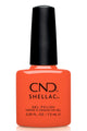 CND - Shellac Ig-Night-Ed (0.25 oz) - Gel Polish at Beyond Polish