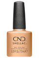 CND - Shellac It's Getting Golder (0.25 oz) - Gel Polish at Beyond Polish