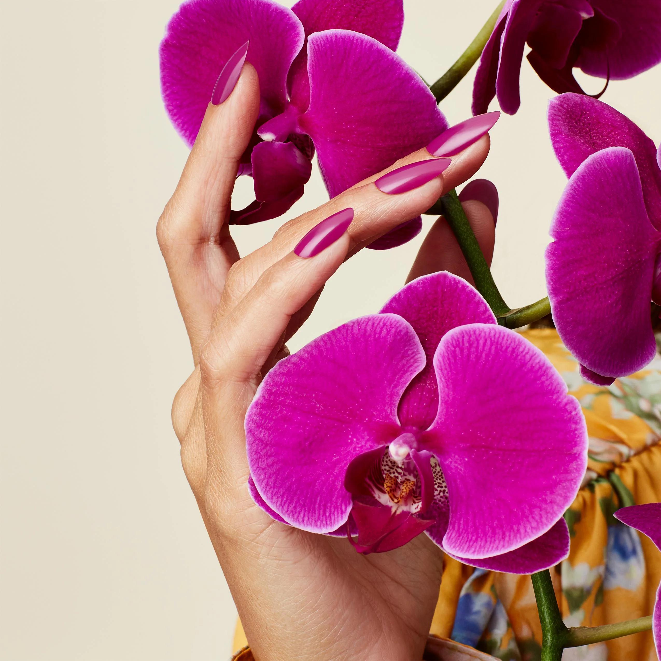 CND Shellac - Orchid Canopy 0.42 oz - Gel Polish at Beyond Polish