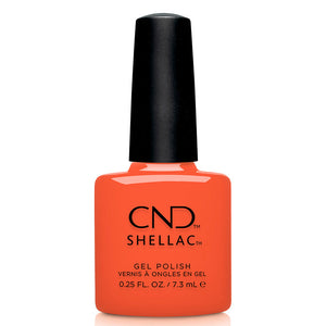 CND Shellac Summer 6pc Collection 2026 | Beyond Polish