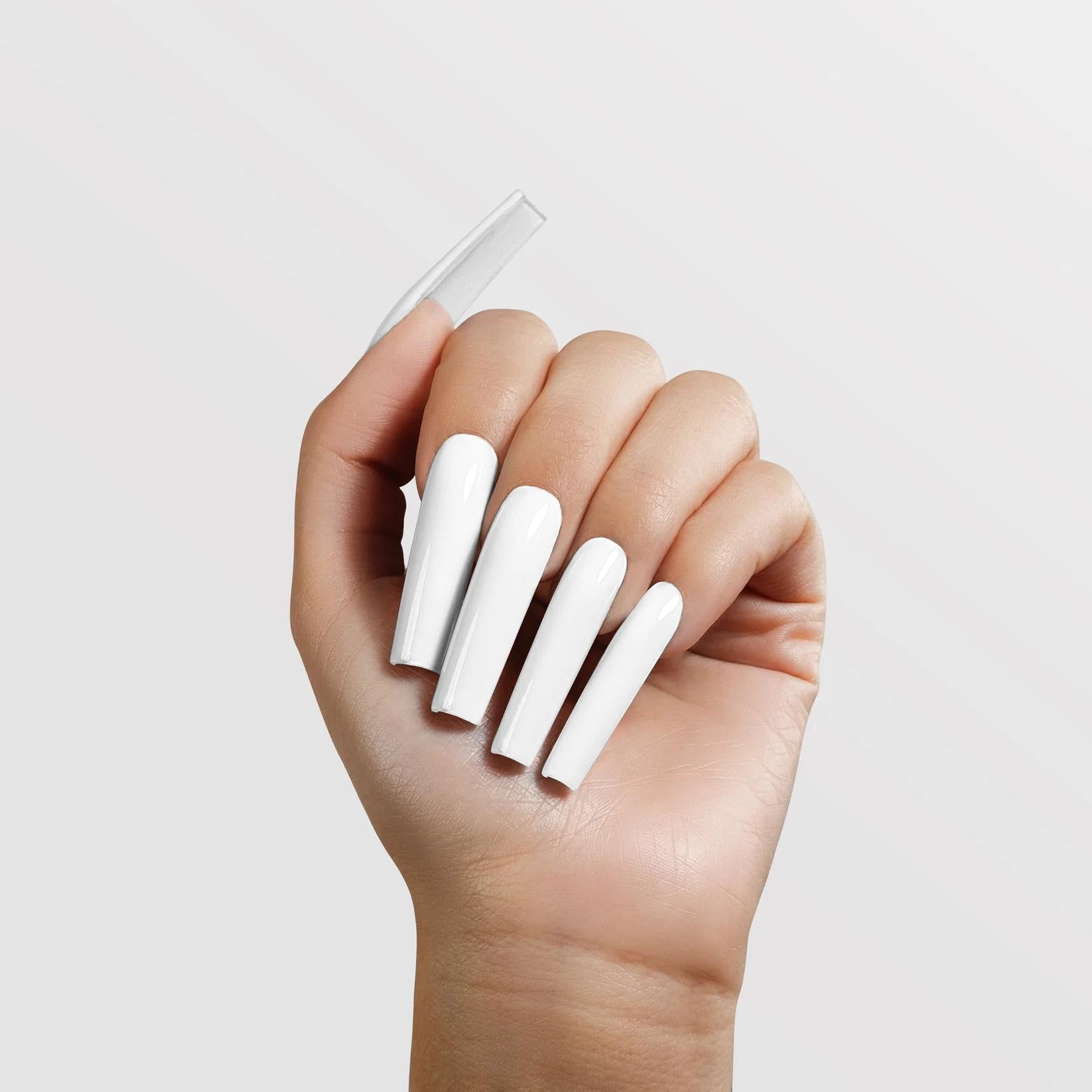 Chaun Legend - Acrylic Powder - White - Acrylic at Beyond Polish