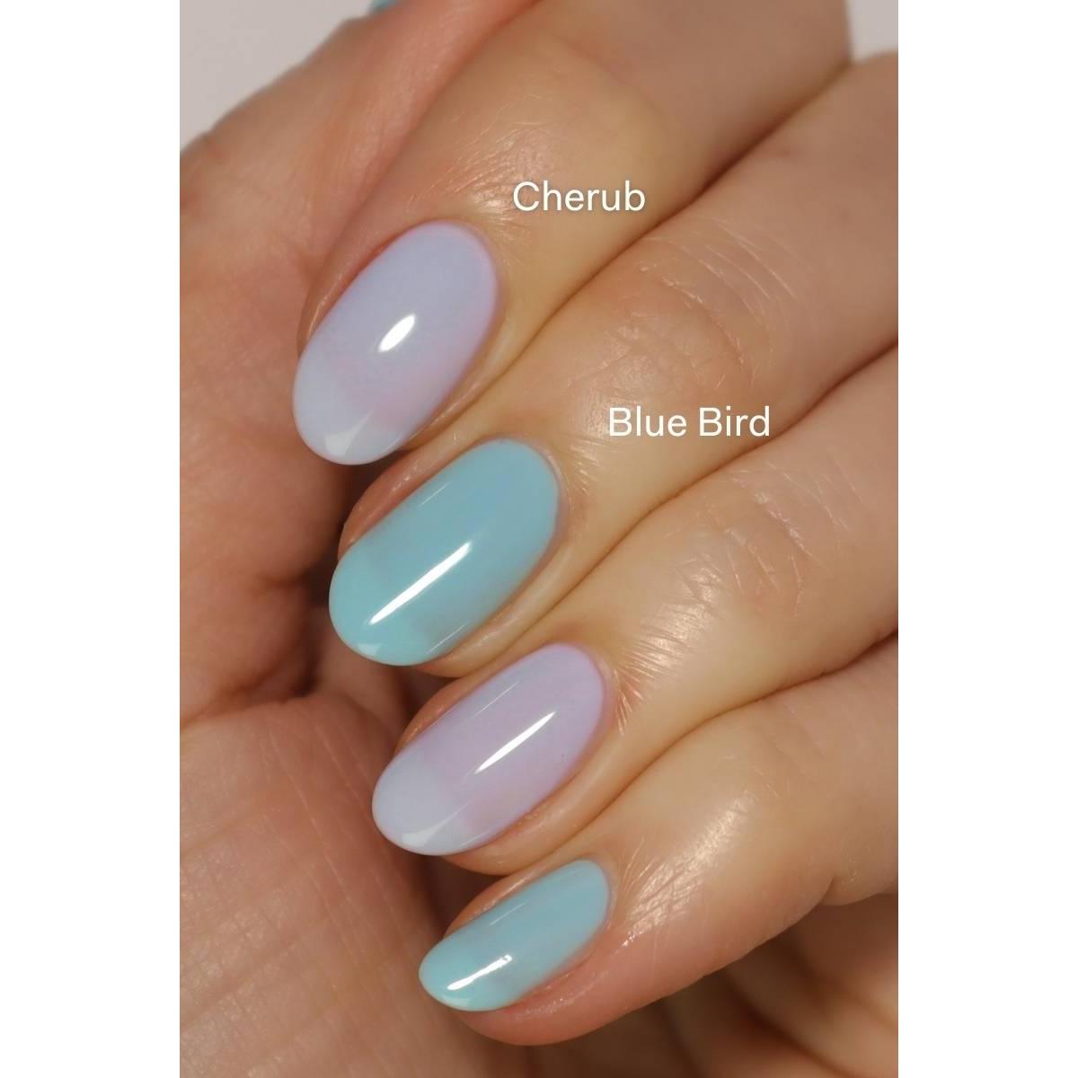Cirque Colors - Nail Polish - Blue Bird 0.37 oz - Nail Lacquer at Beyond Polish