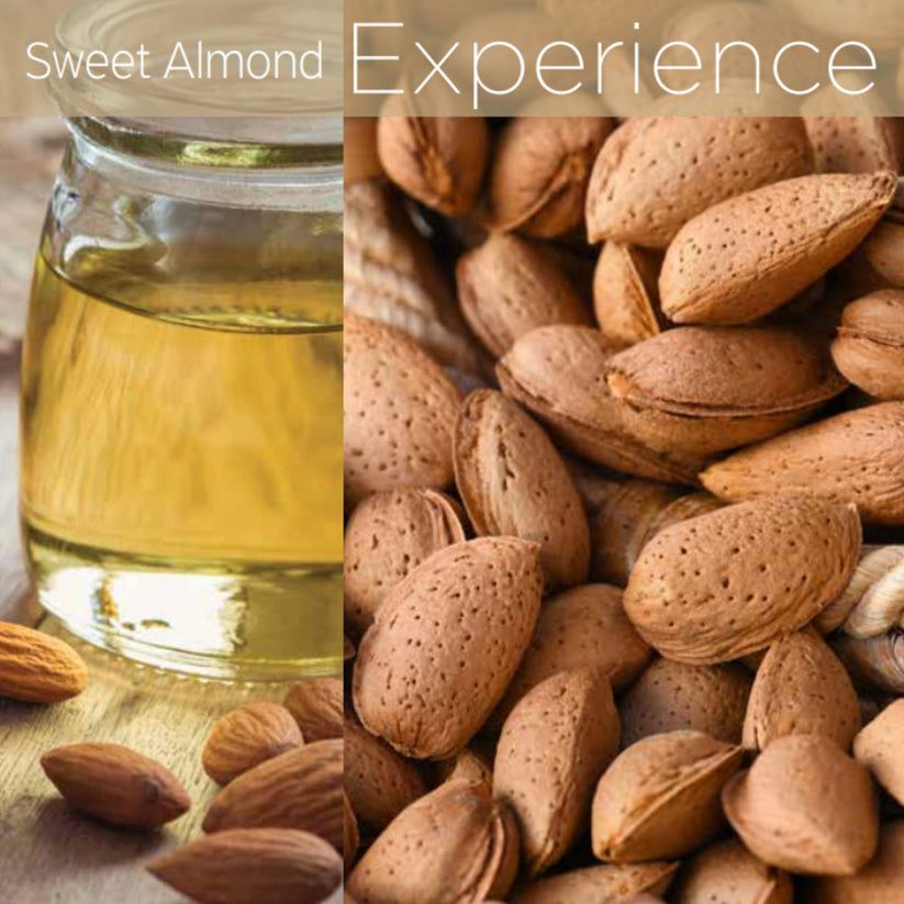 Cuccio - Revitalizing Cutcile Oil - Sweet Almond 2.5 oz - Nail Treatment at Beyond Polish