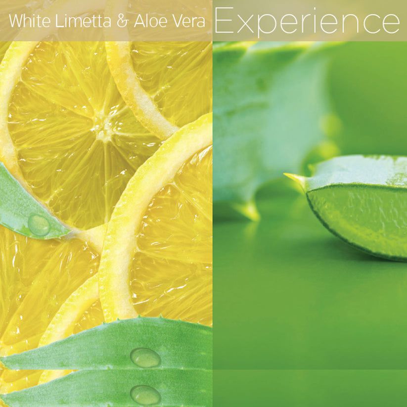 Cuccio - Revitalizing Cutcile Oil - White Limetta & Aloe Vera 2.5 oz - Nail Treatment at Beyond Polish
