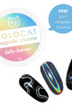 Daily Charme - 3-In-1 Holocat Magnetic Chrome Powder - Nail Art at Beyond Polish