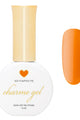 Daily Charme - 505 Pumpkin Pie - Gel Polish at Beyond Polish