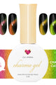 Daily Charme - Charme Gel Chameleon Cat-Eye Collection - Gel Polish at Beyond Polish