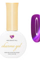 Daily Charme - Electric Neon Silk Cat Eye Collection - Gel Polish at Beyond Polish