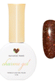 Daily Charme - H64 Magic Wand - Gel Polish at Beyond Polish