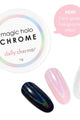Daily Charme - Magic Holo Chrome Powder - Nail Art at Beyond Polish