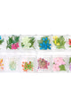 Daily Charme - Pressed Dry Natural Flower & Leaf Set - Dainty - Nail Art at Beyond Polish