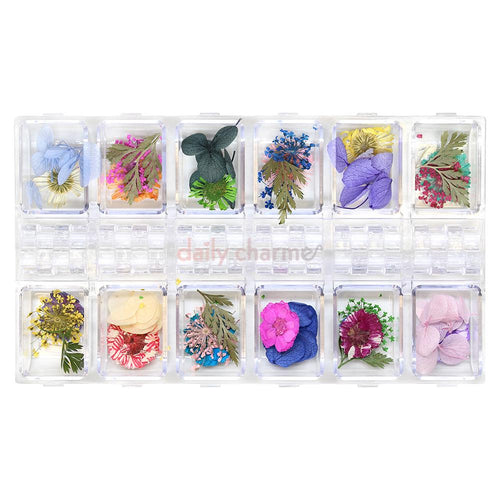 Daily Charme - Pressed Dry Natural Flower & Leaf Set - Mix