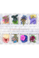 Daily Charme - Pressed Dry Natural Flower & Leaf Set - Mix - Nail Art at Beyond Polish