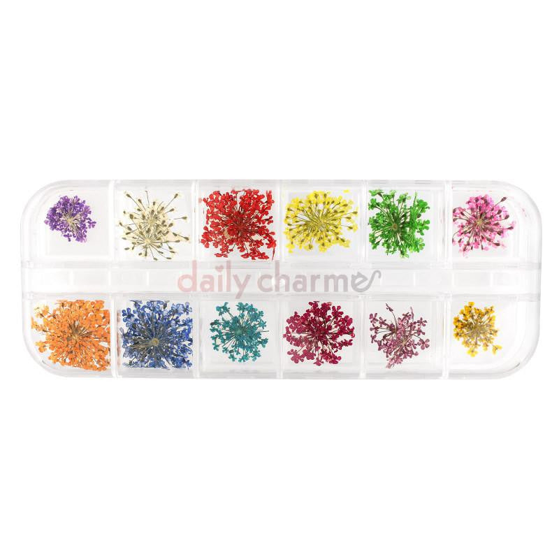 Daily Charme - Pressed Dry Natural Flower Set - Lace Flowers - Nail Art at Beyond Polish