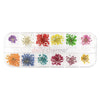 Daily Charme - Pressed Dry Natural Flower Set - Lace Flowers