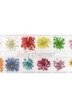 Daily Charme - Pressed Dry Natural Flower Set - Lace Flowers - Nail Art at Beyond Polish