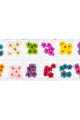 Daily Charme - Pressed Dry Natural Petal Flower Set - 12 Colors - Nail Art at Beyond Polish