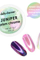 Daily Charme - Prism Chrome Powder Set - Nail Art at Beyond Polish
