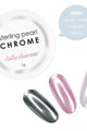 Daily Charme - Sterling Chrome Pearl Powder - Nail Art at Beyond Polish