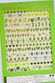 Deco Beauty - Nail Art Stickers - Tennis Club - Nail Art at Beyond Polish
