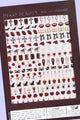 Deco Beauty - Nail Art Stickers - Vamp - Nail Art at Beyond Polish