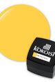Kokoist - Color Gel - Deep Papaya 2.5g - #E-36 - Gel Polish at Beyond Polish