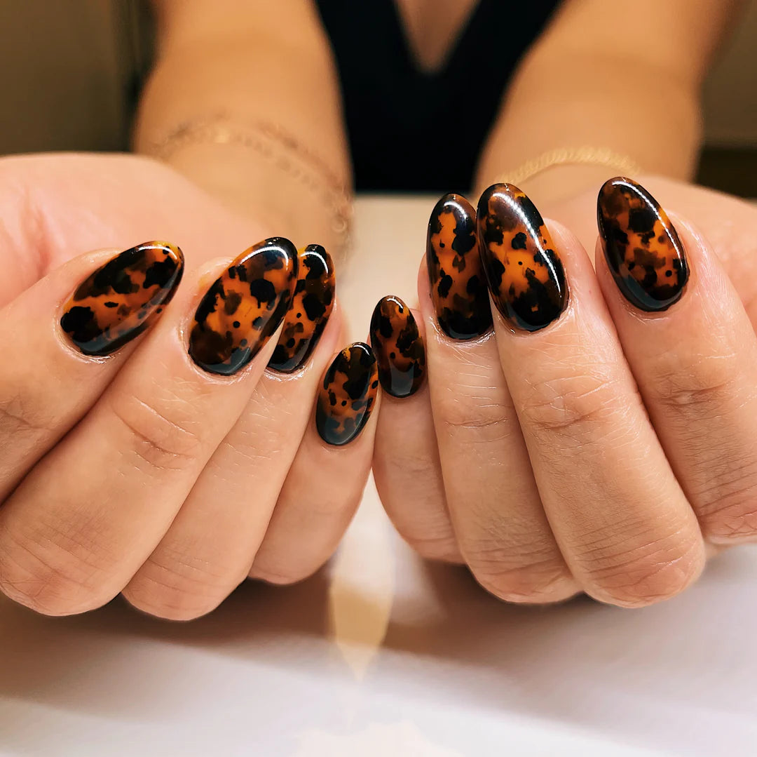 Kokoist - Tortoise Shell Design Kit - Gel Polish at Beyond Polish