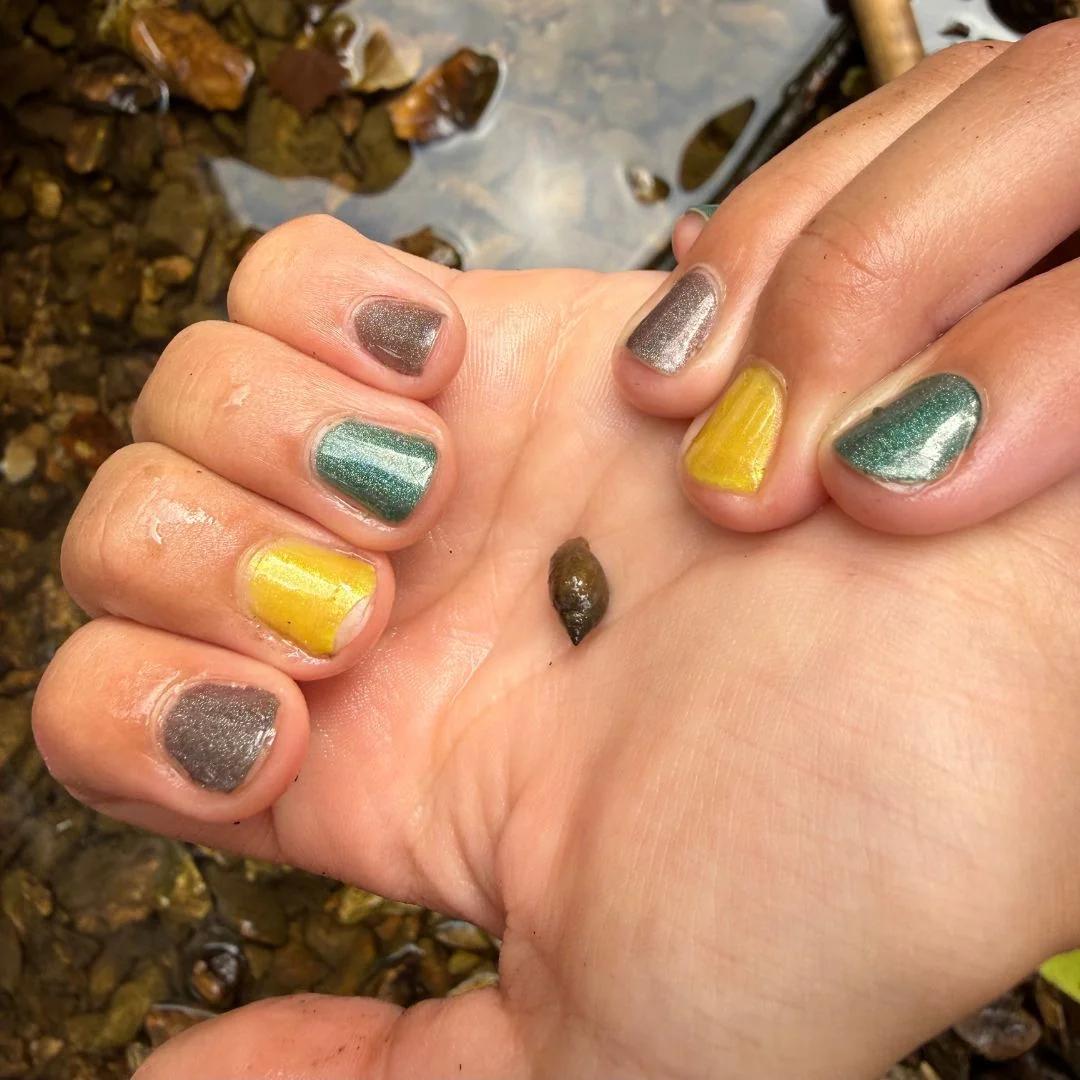 Loud Lacquer - No Fixed Route Collection - Nail Lacquer at Beyond Polish