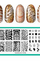 Maniology - Stamping Plate - Beachcomber (M706) - Nail Art at Beyond Polish