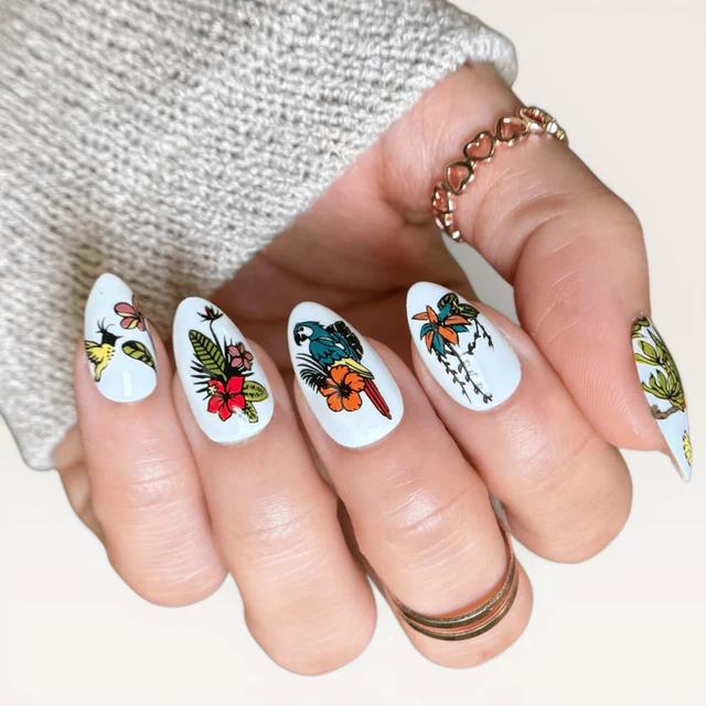 Maniology - Stamping Plate - Birds Of Paradise (M711) - Nail Art at Beyond Polish