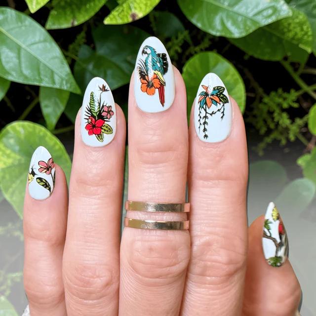 Maniology - Stamping Plate - Birds Of Paradise (M711) - Nail Art at Beyond Polish
