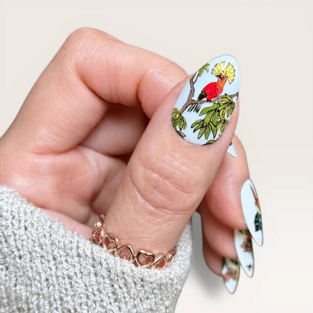 Maniology - Stamping Plate - Birds Of Paradise (M711) - Nail Art at Beyond Polish