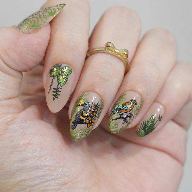 Maniology - Stamping Plate - Birds Of Paradise (M711) - Nail Art at Beyond Polish