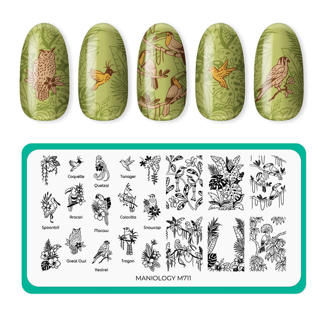 Maniology - Stamping Plate - Birds Of Paradise (M711) - Nail Art at Beyond Polish