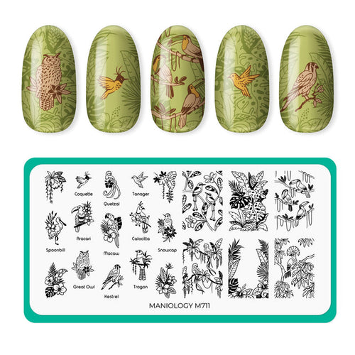 Maniology - Stamping Plate - Birds Of Paradise (M711)