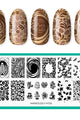 Maniology - Stamping Plate - Cafe Con Leche (M726) - Nail Art at Beyond Polish