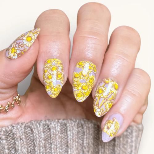 Maniology - Stamping Plate - Chamomile Melody - M683 - Manicure & Pedicure Tools at Beyond Polish