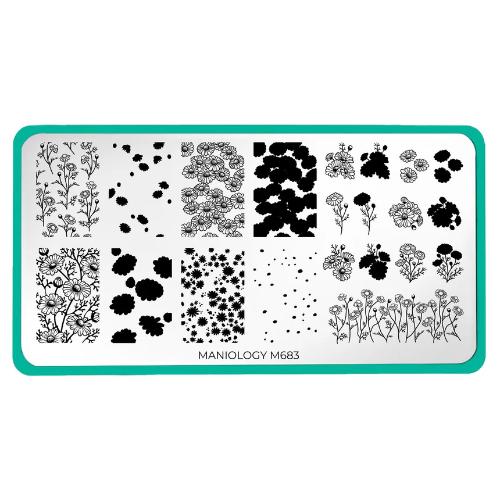 Maniology - Stamping Plate - Chamomile Melody - M683 - Manicure & Pedicure Tools at Beyond Polish