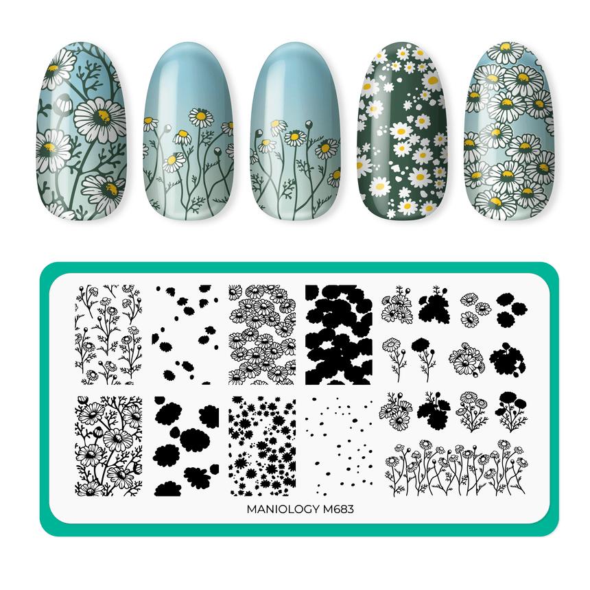 Maniology - Stamping Plate - Chamomile Melody - M683 - Manicure & Pedicure Tools at Beyond Polish