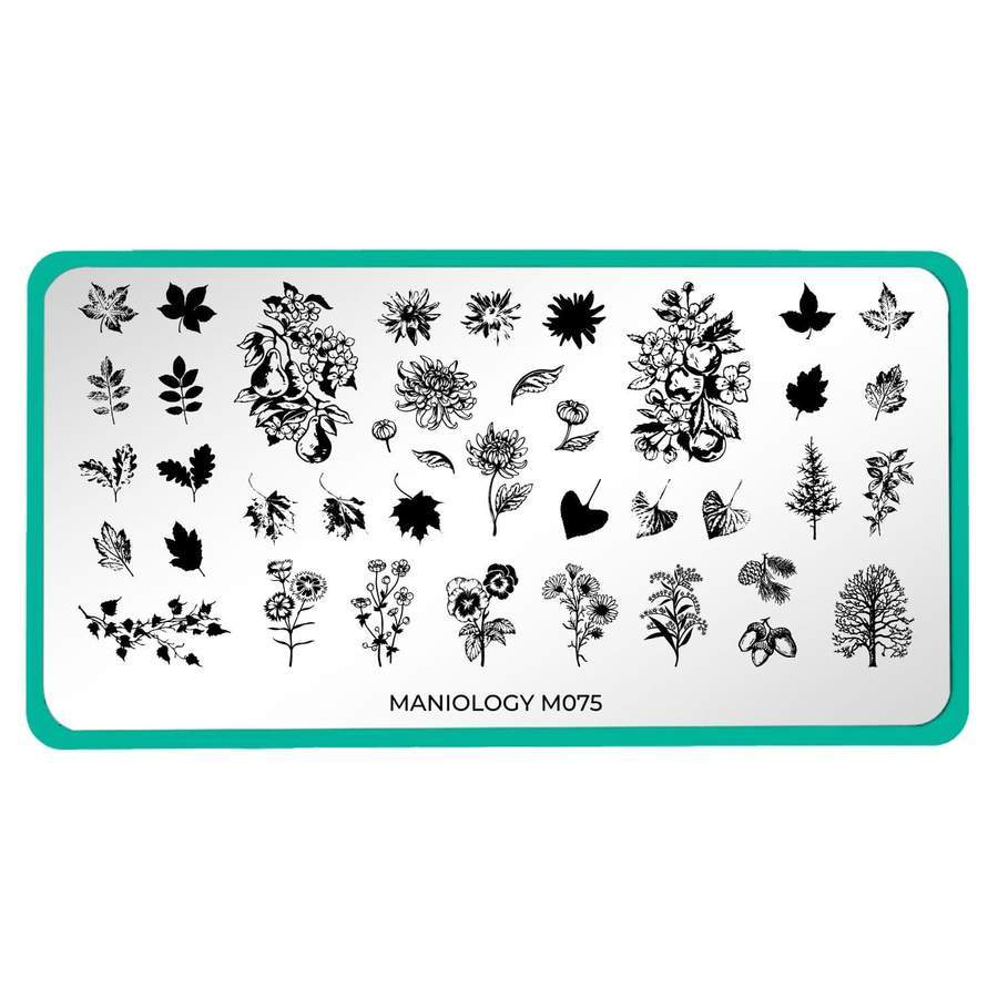 Maniology - Stamping Plate - Fall Layers: Harvest Blooms #M075 - Nail Art at Beyond Polish