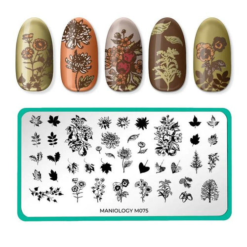 Maniology - Stamping Plate - Fall Layers: Harvest Blooms #M075