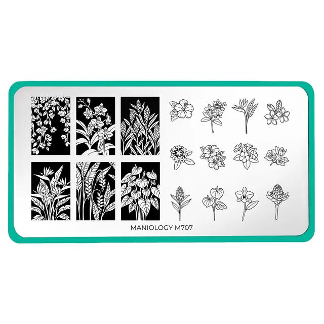 Maniology - Stamping Plate - Flora Exotica (M707) - Nail Art at Beyond Polish