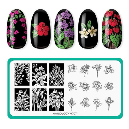 Maniology - Stamping Plate - Flora Exotica (M707)