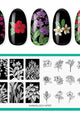 Maniology - Stamping Plate - Flora Exotica (M707) - Nail Art at Beyond Polish